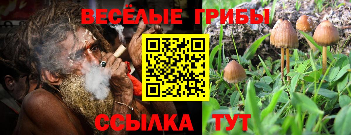 Галлюциногенные грибы Magic Shrooms  Вход с VPN  наркошоп  Советская Гавань 